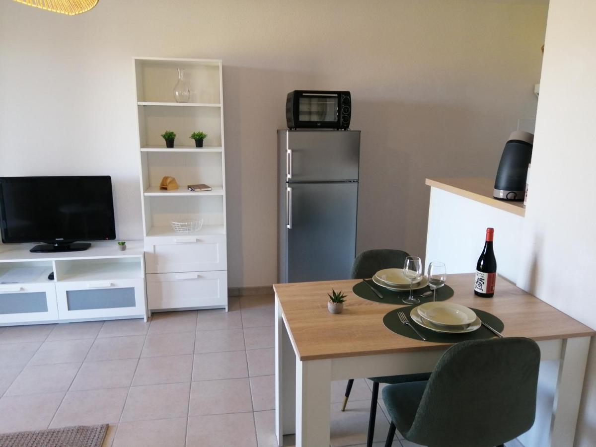 卡尔卡松Le Cocon De Marie,Piscine, Balcon, Parking Gratuit, Baignoire公寓 外观 照片