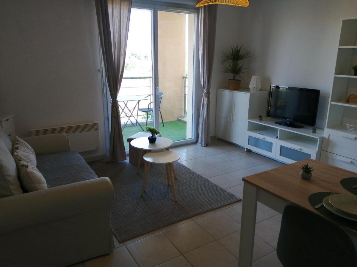 卡尔卡松Le Cocon De Marie,Piscine, Balcon, Parking Gratuit, Baignoire公寓 外观 照片