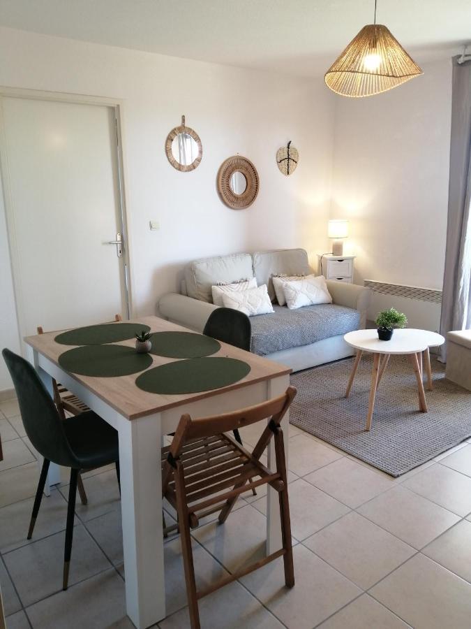 卡尔卡松Le Cocon De Marie,Piscine, Balcon, Parking Gratuit, Baignoire公寓 外观 照片
