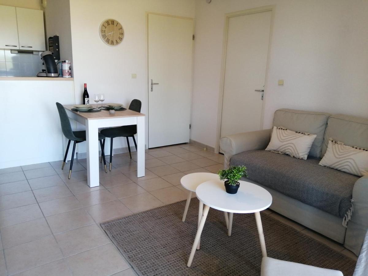 卡尔卡松Le Cocon De Marie,Piscine, Balcon, Parking Gratuit, Baignoire公寓 外观 照片