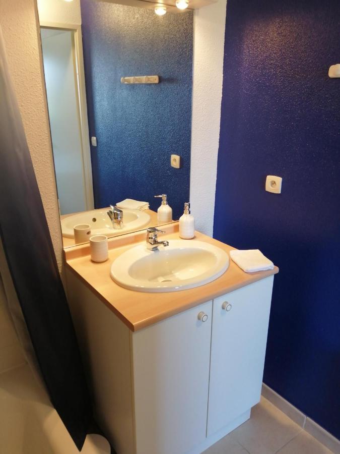 卡尔卡松Le Cocon De Marie,Piscine, Balcon, Parking Gratuit, Baignoire公寓 外观 照片