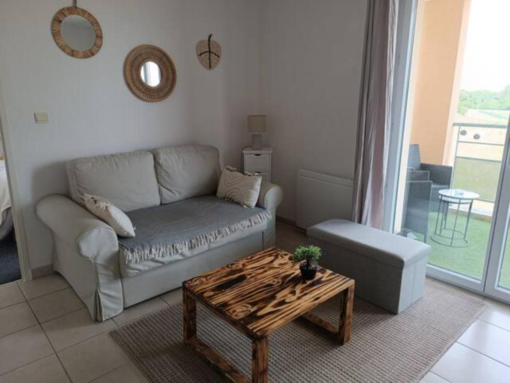卡尔卡松Le Cocon De Marie,Piscine, Balcon, Parking Gratuit, Baignoire公寓 外观 照片
